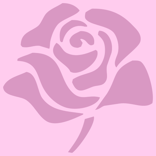 - - Ruža - doboz - internetové záhradníctvo