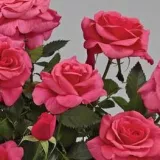 20-744-2